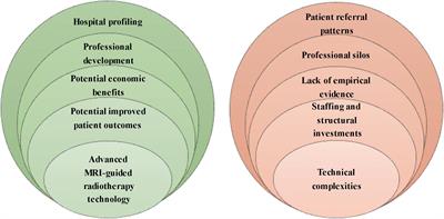 Problems and Promises of Introducing the Magnetic Resonance Imaging Linear Accelerator Into Routine Care: The Case of Prostate Cancer